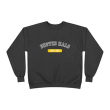 Load image into Gallery viewer, Busted Halo "College" Crewneck Sweatshirt